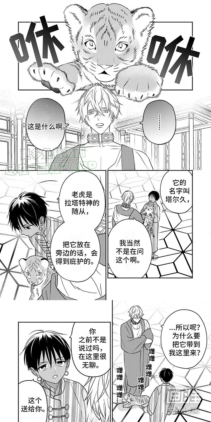 第6章：小虎崽