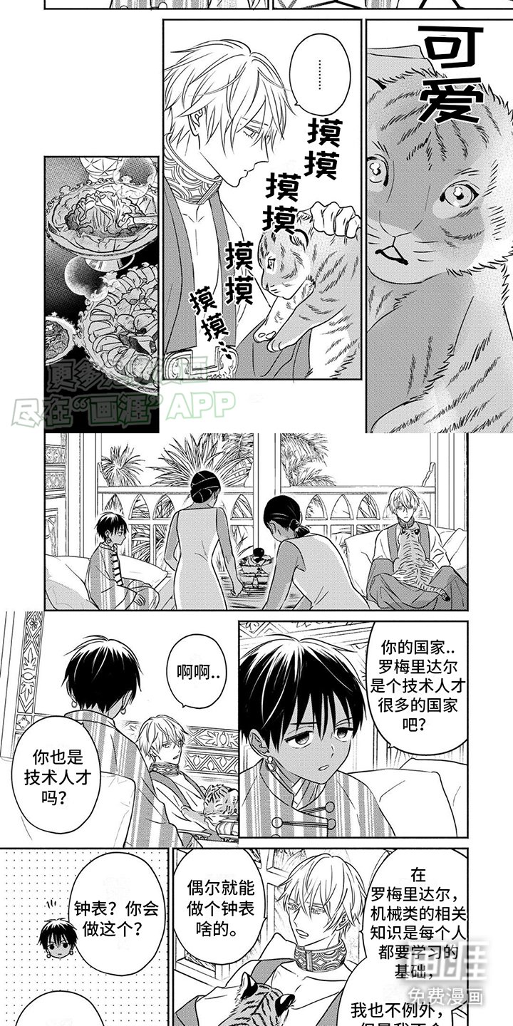第6章：小虎崽
