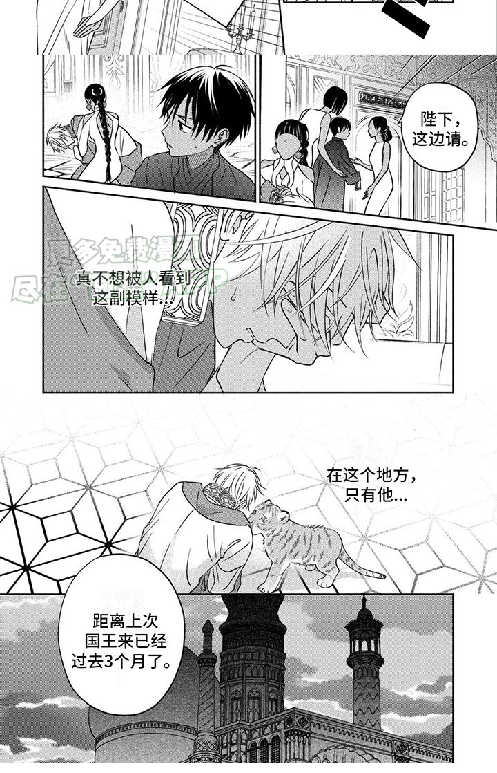 第7章：发热期 