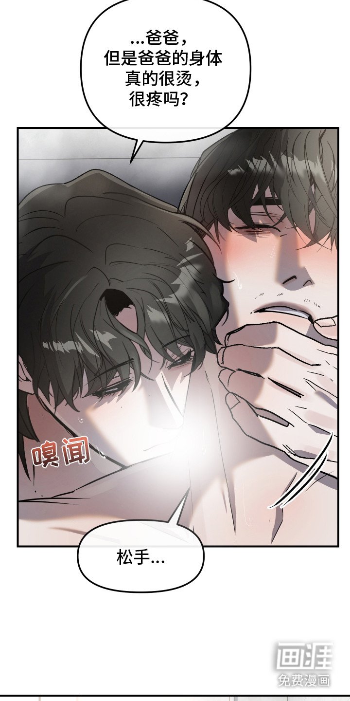 第13章：报告单