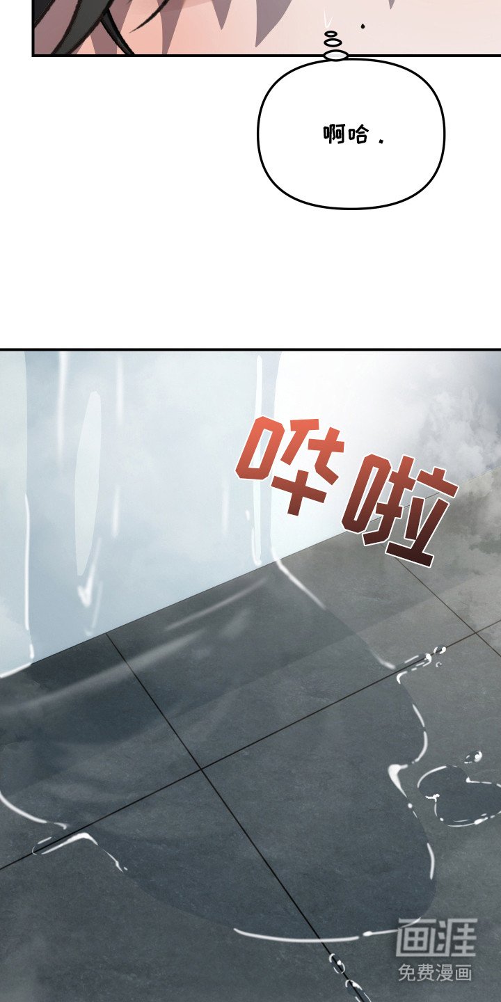 第13章：报告单