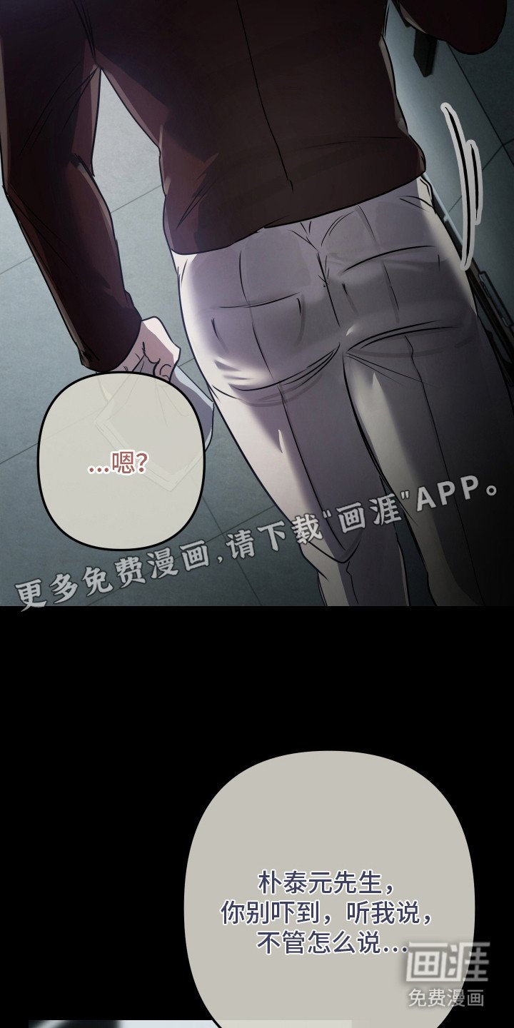 第13章：报告单