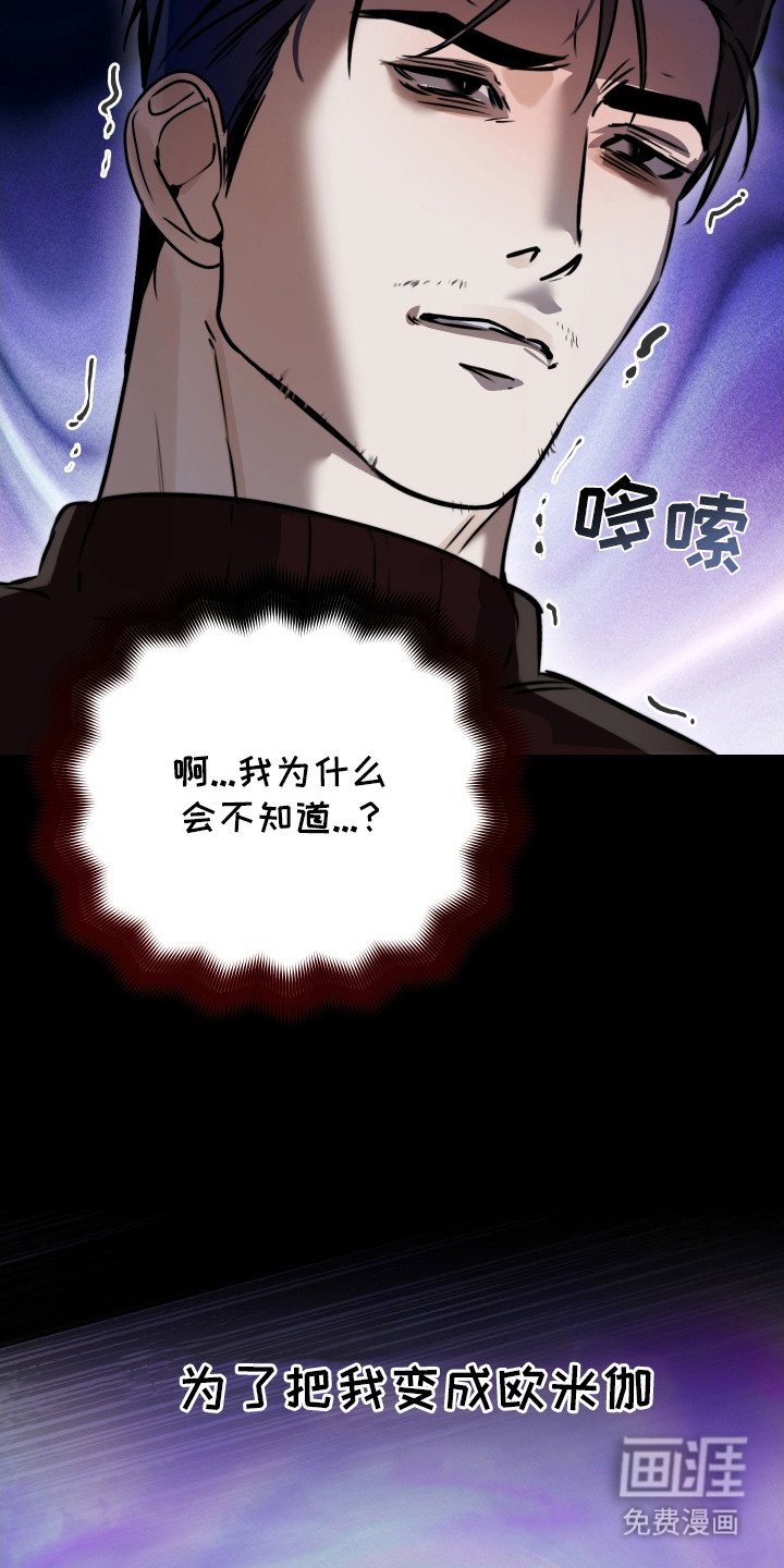 第13章：报告单