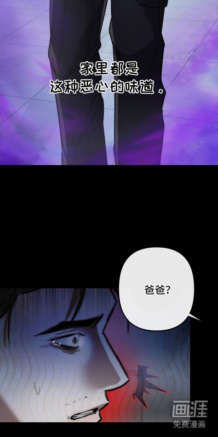 第13章：报告单