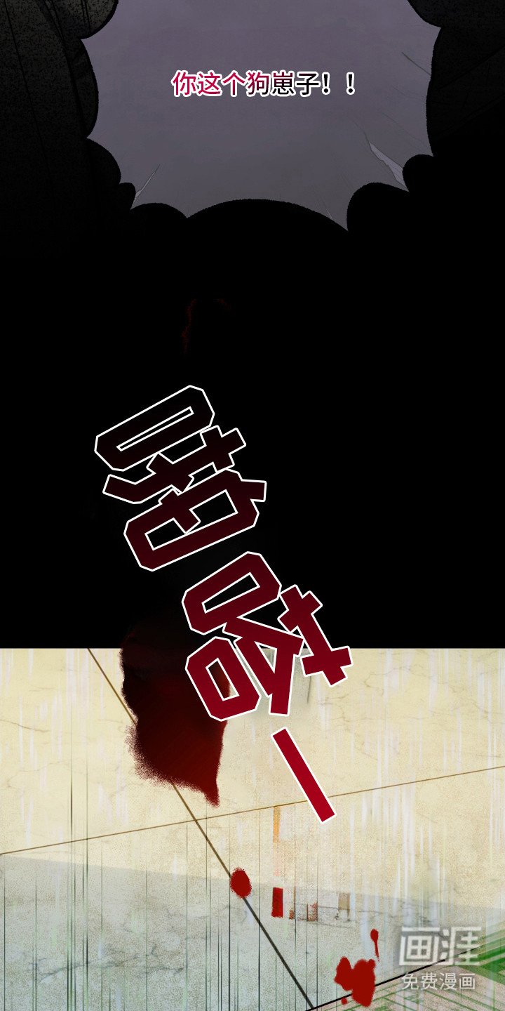 第13章：报告单