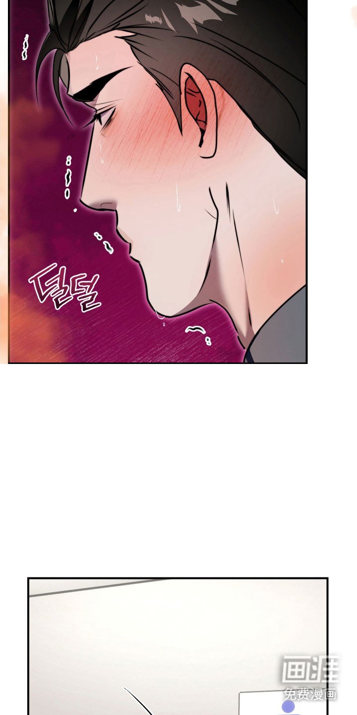 第17章：信息素