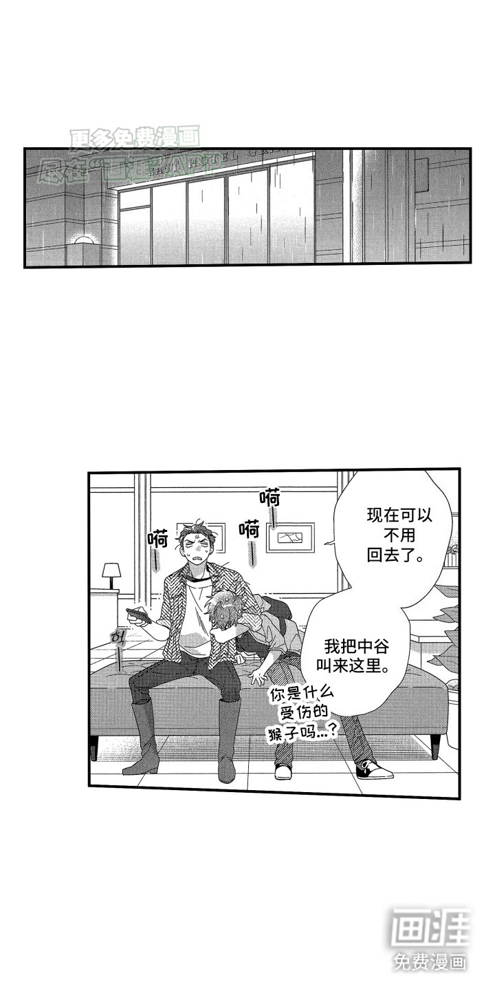 第16章：发热期