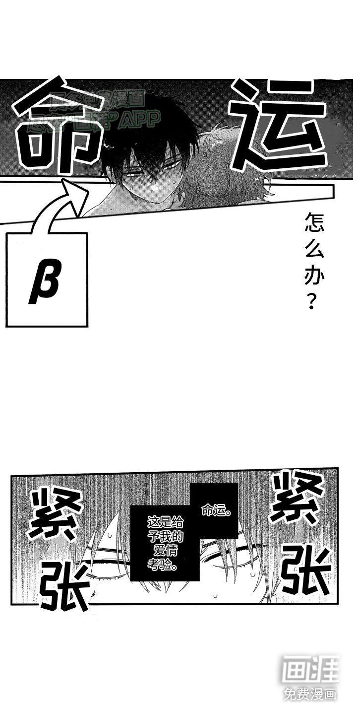 第4章：命运的考验
