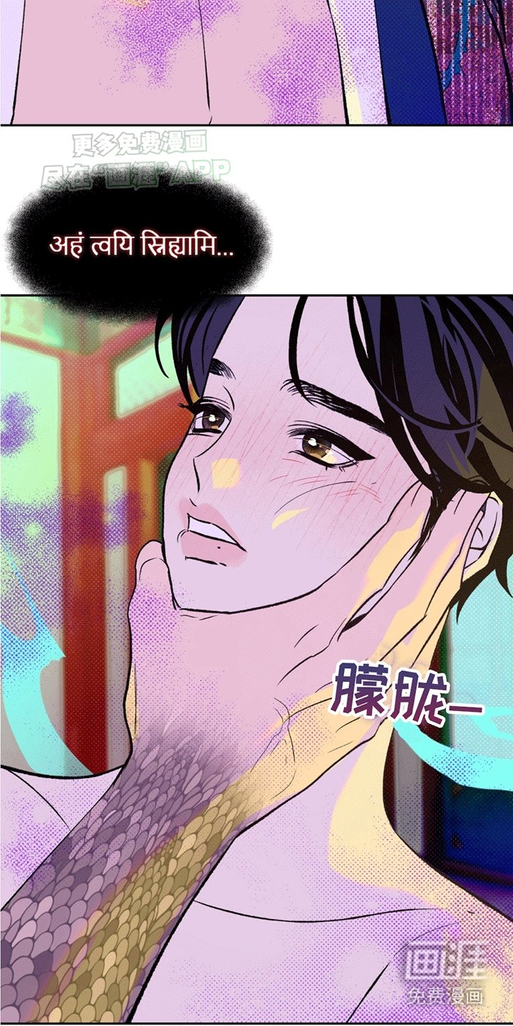 第2章：配偶