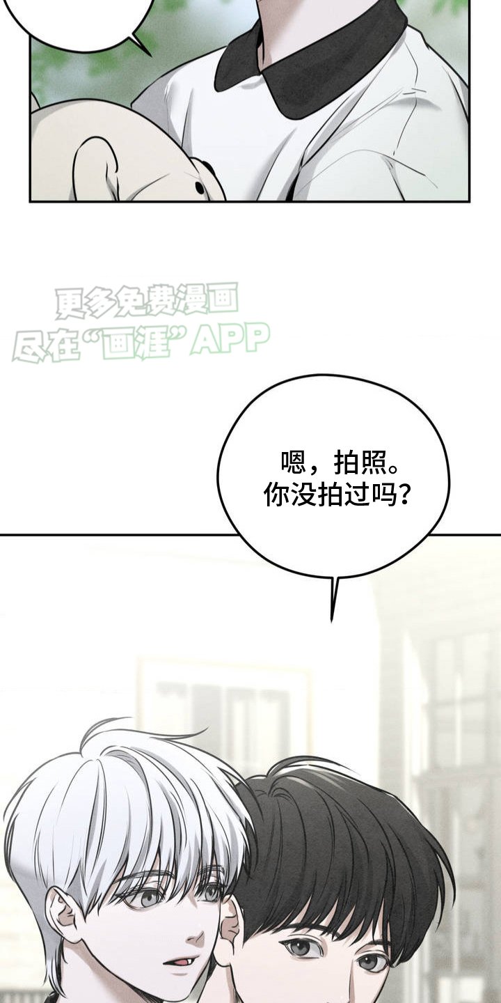 第1章：泰迪熊