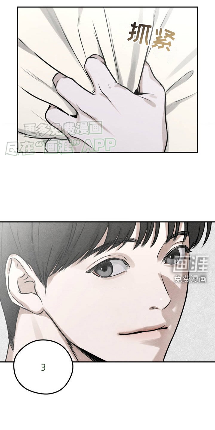 第1章：泰迪熊