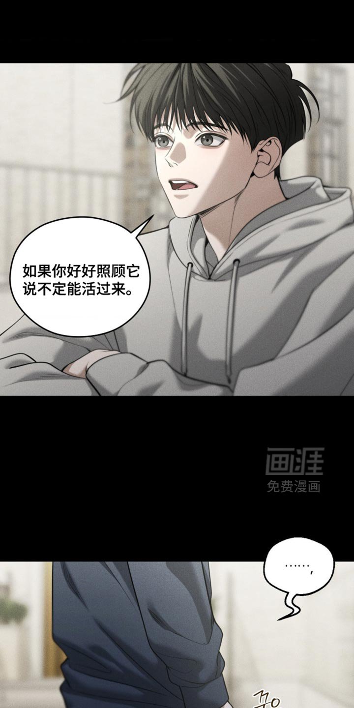 第101章：【第二季】奇怪的误会