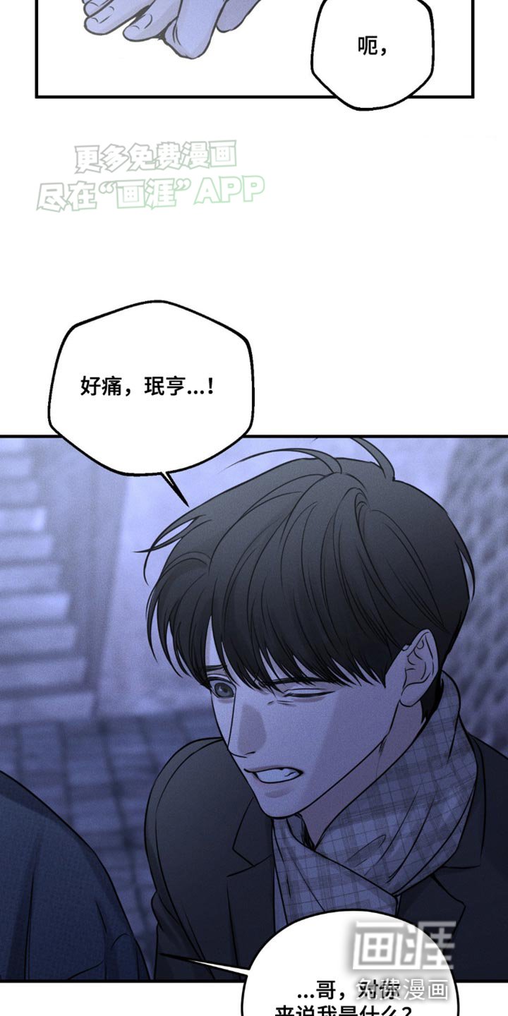 第20章：对你来说我是什么？
