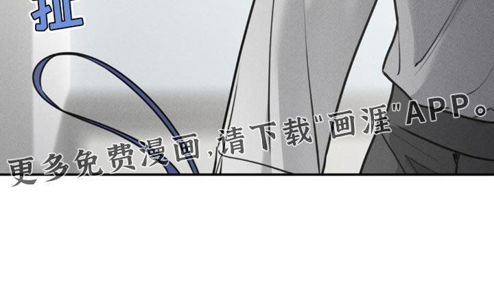 第29章：我在拍喜欢的人