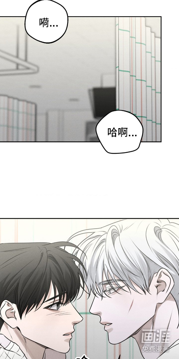 第48章：手续
