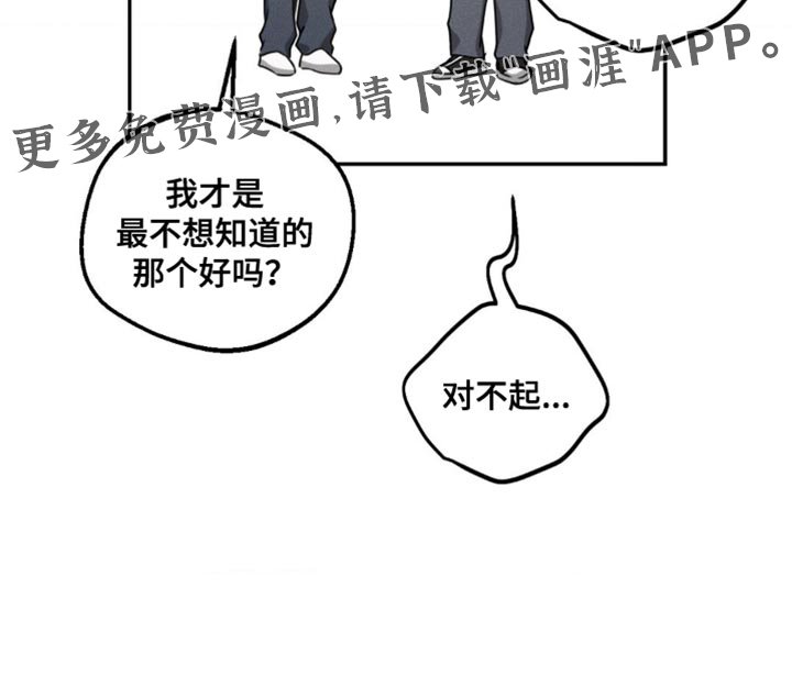 第72章：【第二季】关系不错