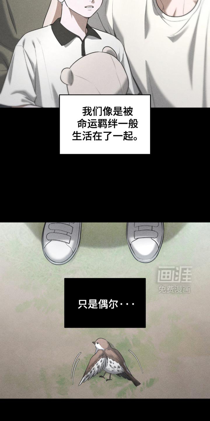 第87章：【第二季】让人难以理解的事