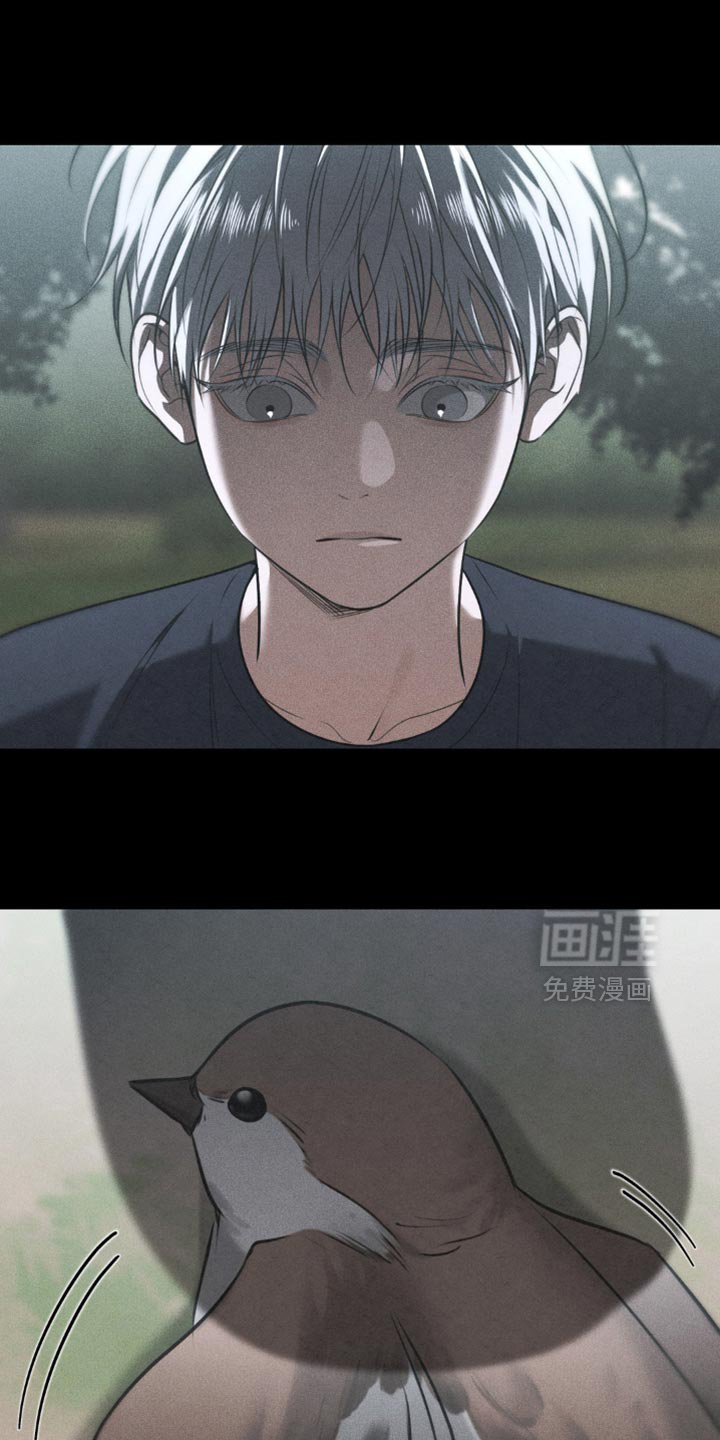 第87章：【第二季】让人难以理解的事