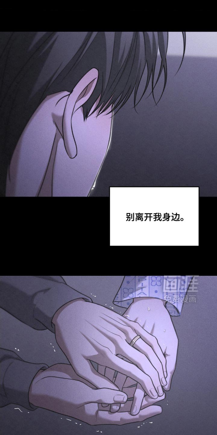 第89章：【第二季】不再让你受伤