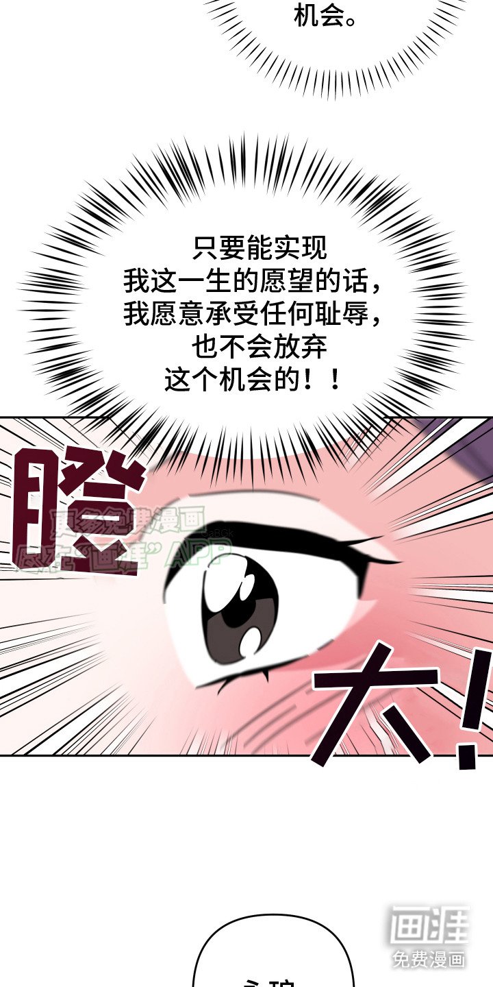 第13章：题材