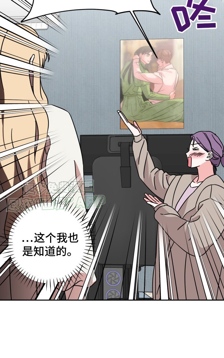 第13章：题材