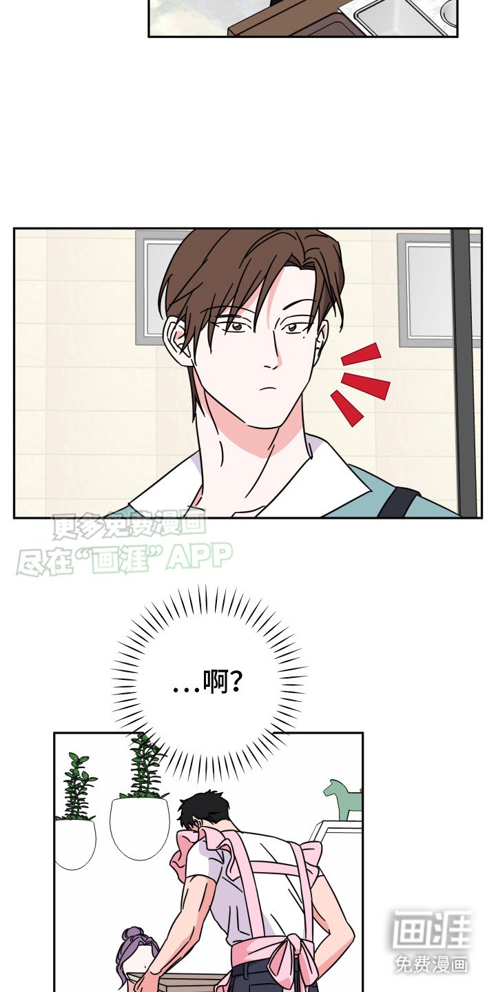 第16章：围裙