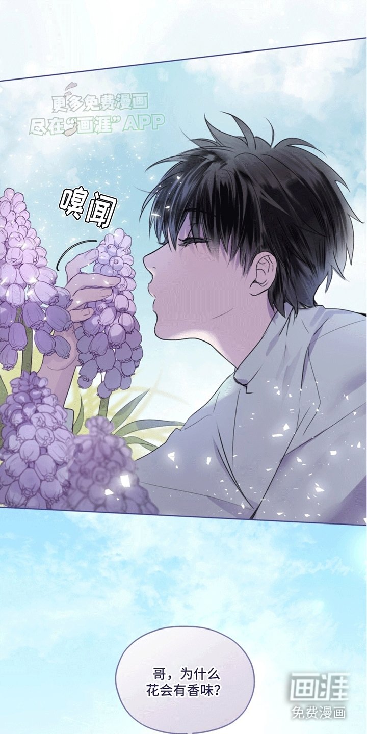第1章：记忆