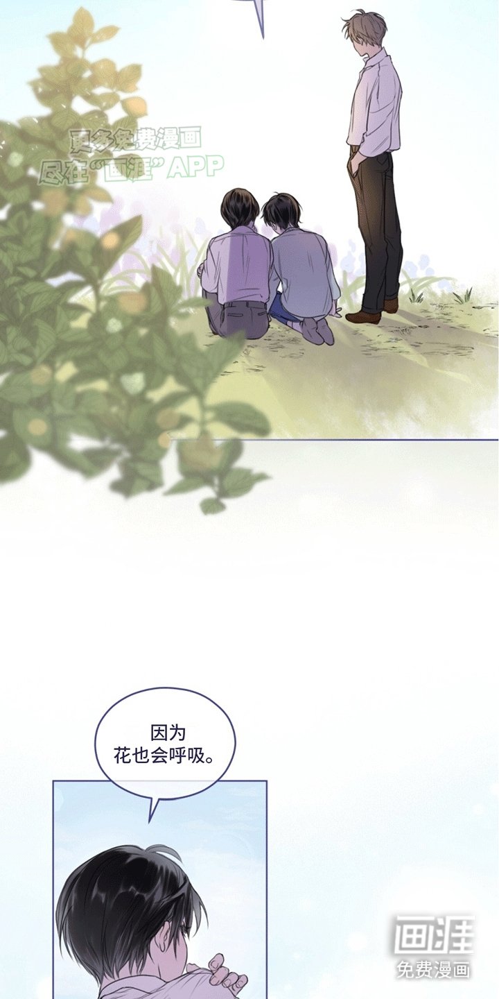 第1章：记忆