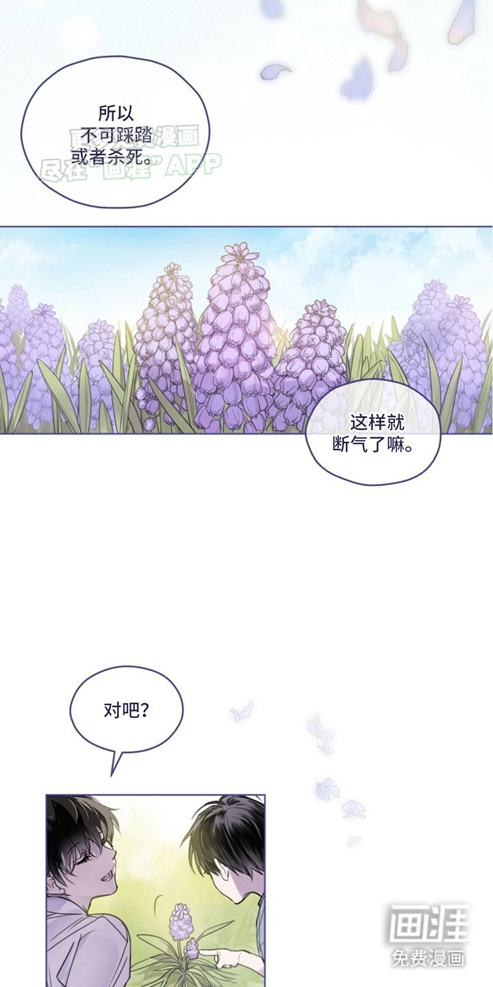 第1章：记忆