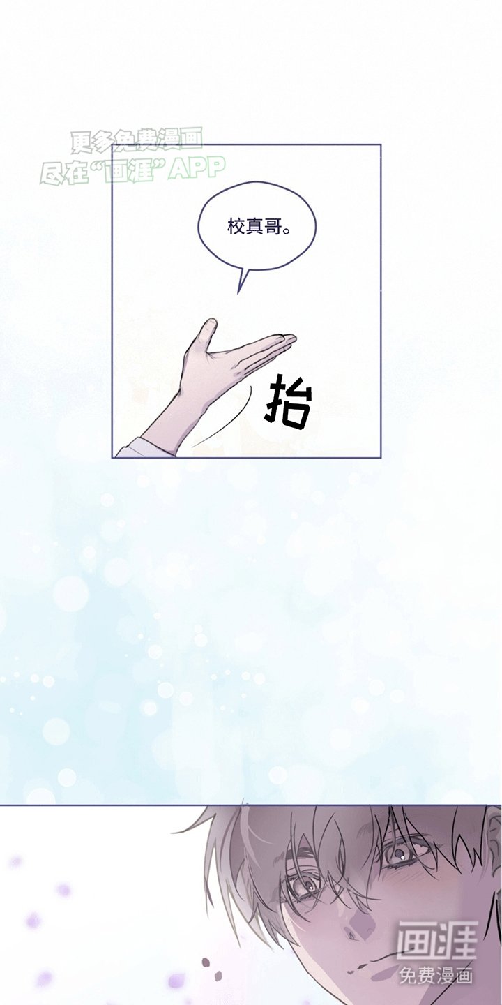 第1章：记忆