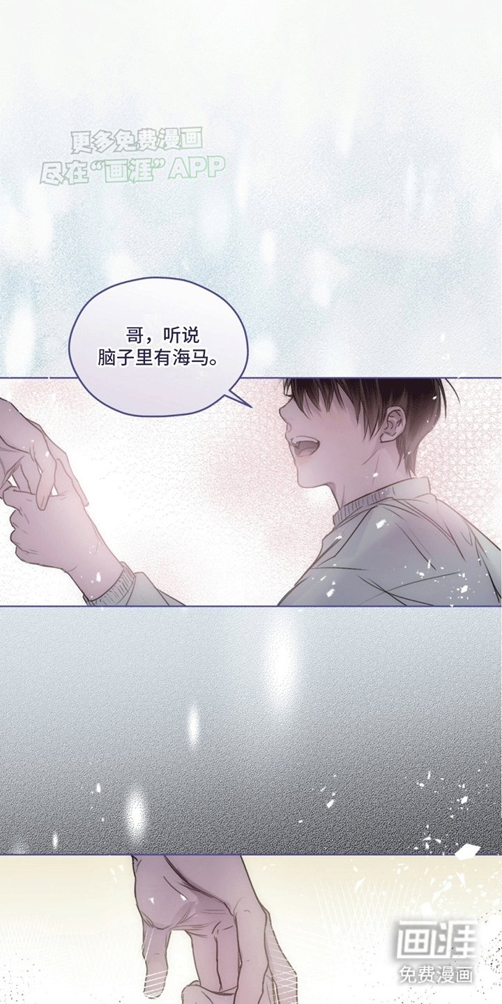 第1章：记忆