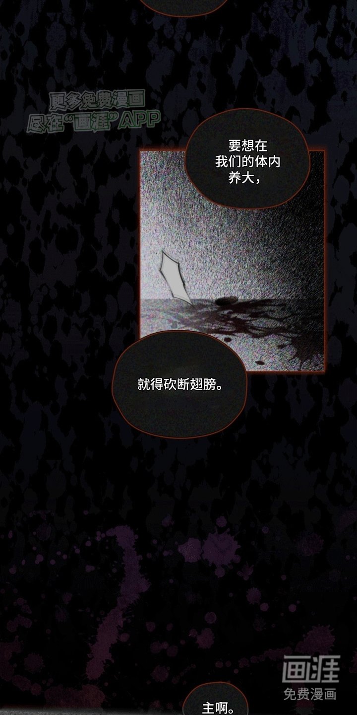 第1章：记忆