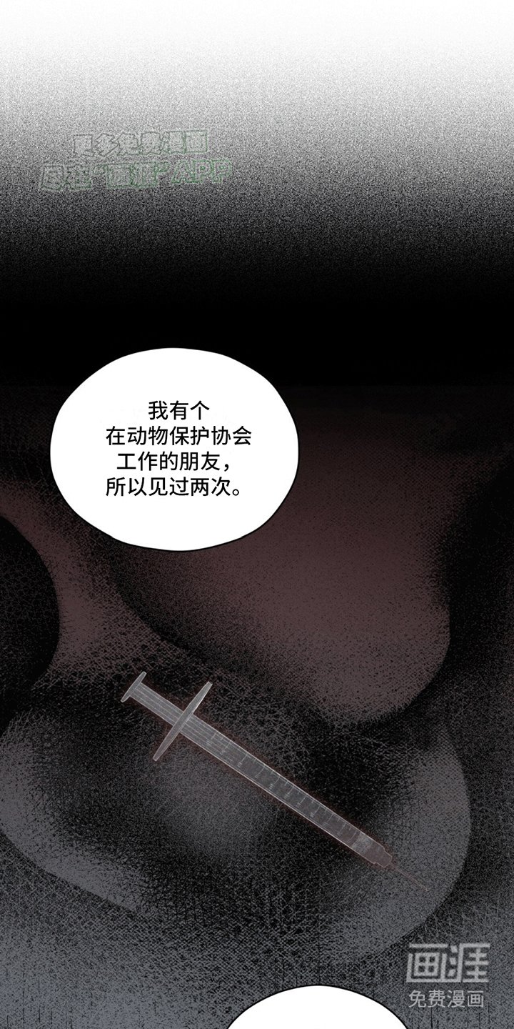 第10章：巧克力