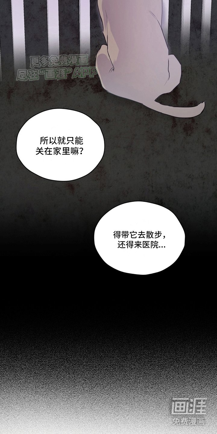第10章：巧克力