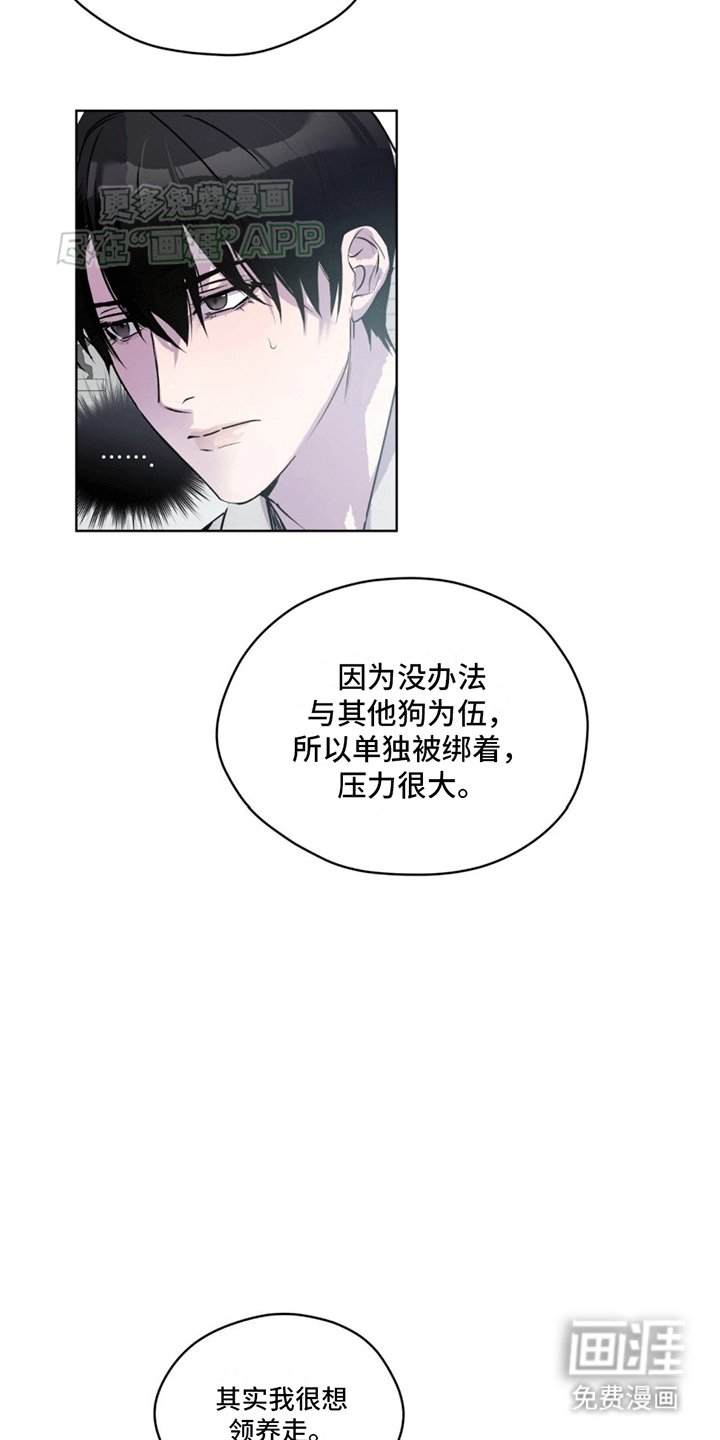 第10章：巧克力