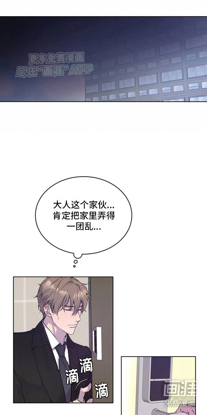 第10章：巧克力