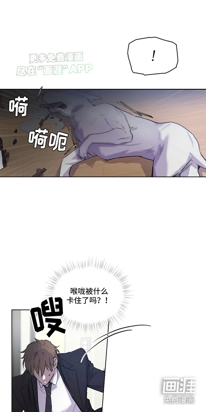 第10章：巧克力
