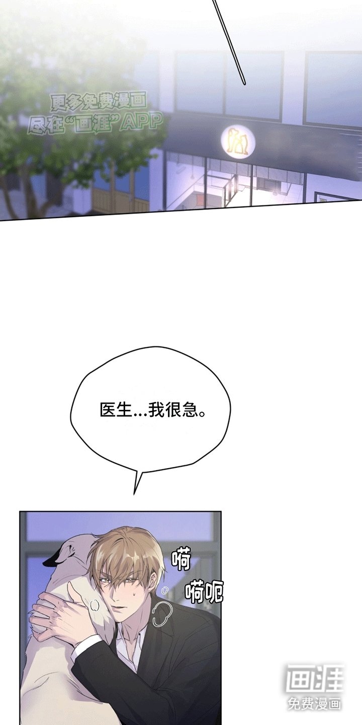 第11章：救治
