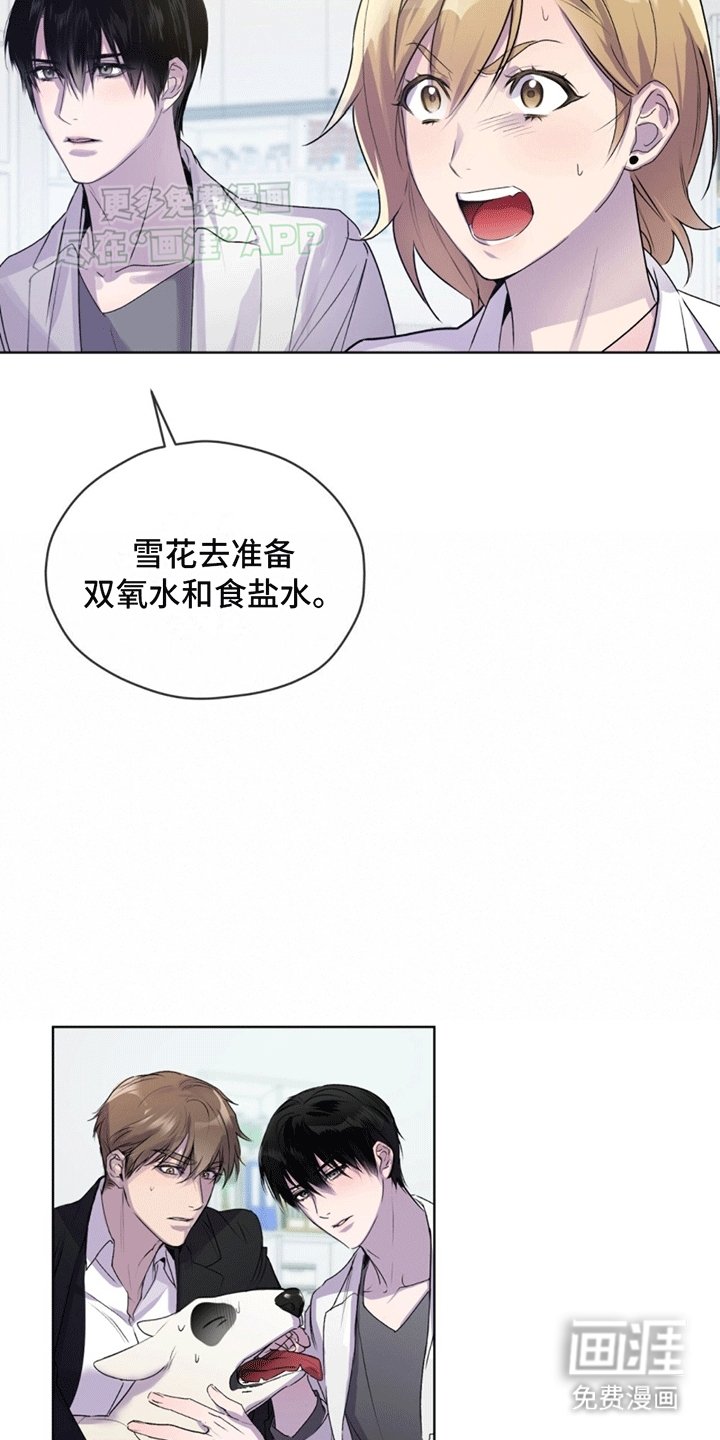 第11章：救治