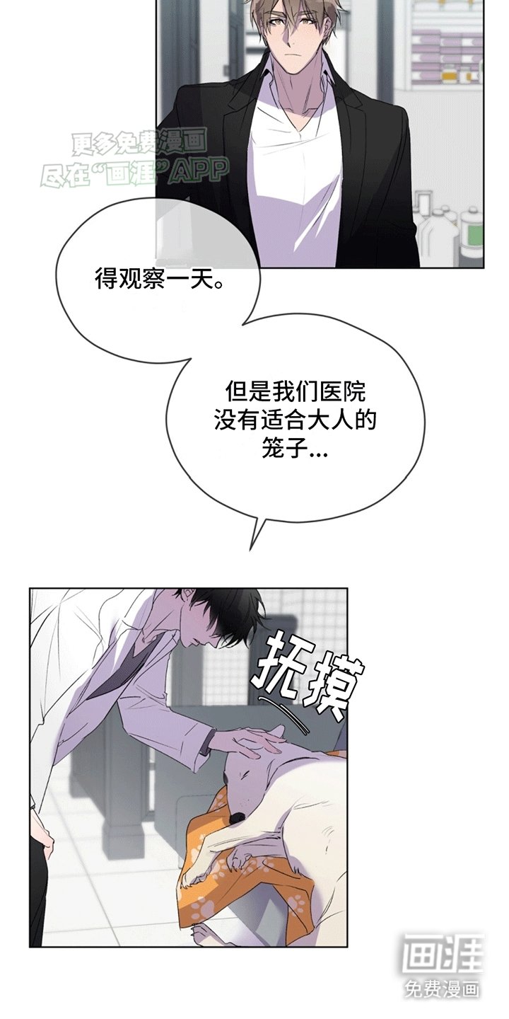 第11章：救治