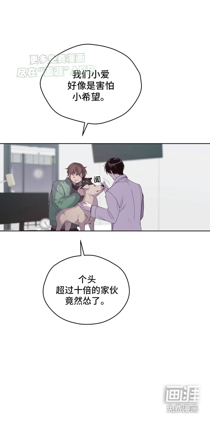 第12章：直觉