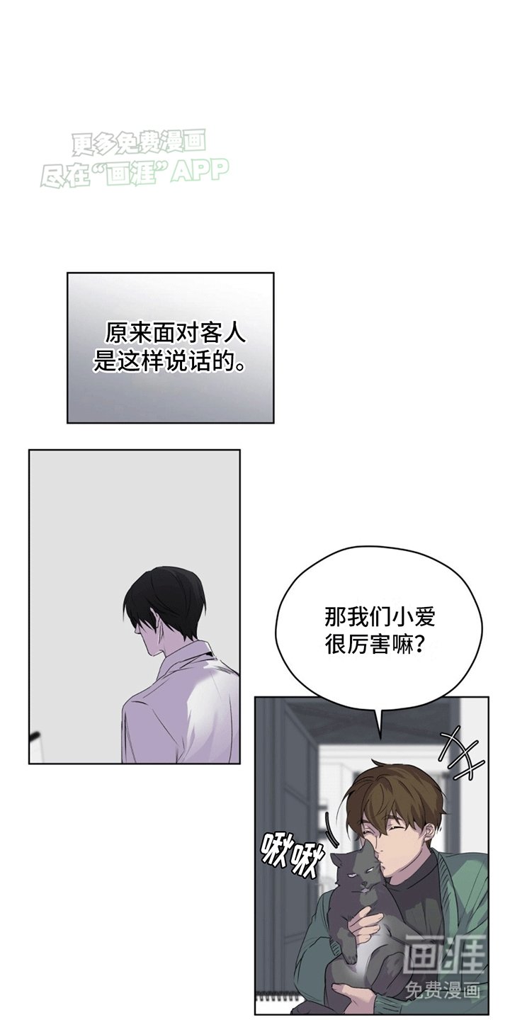 第12章：直觉