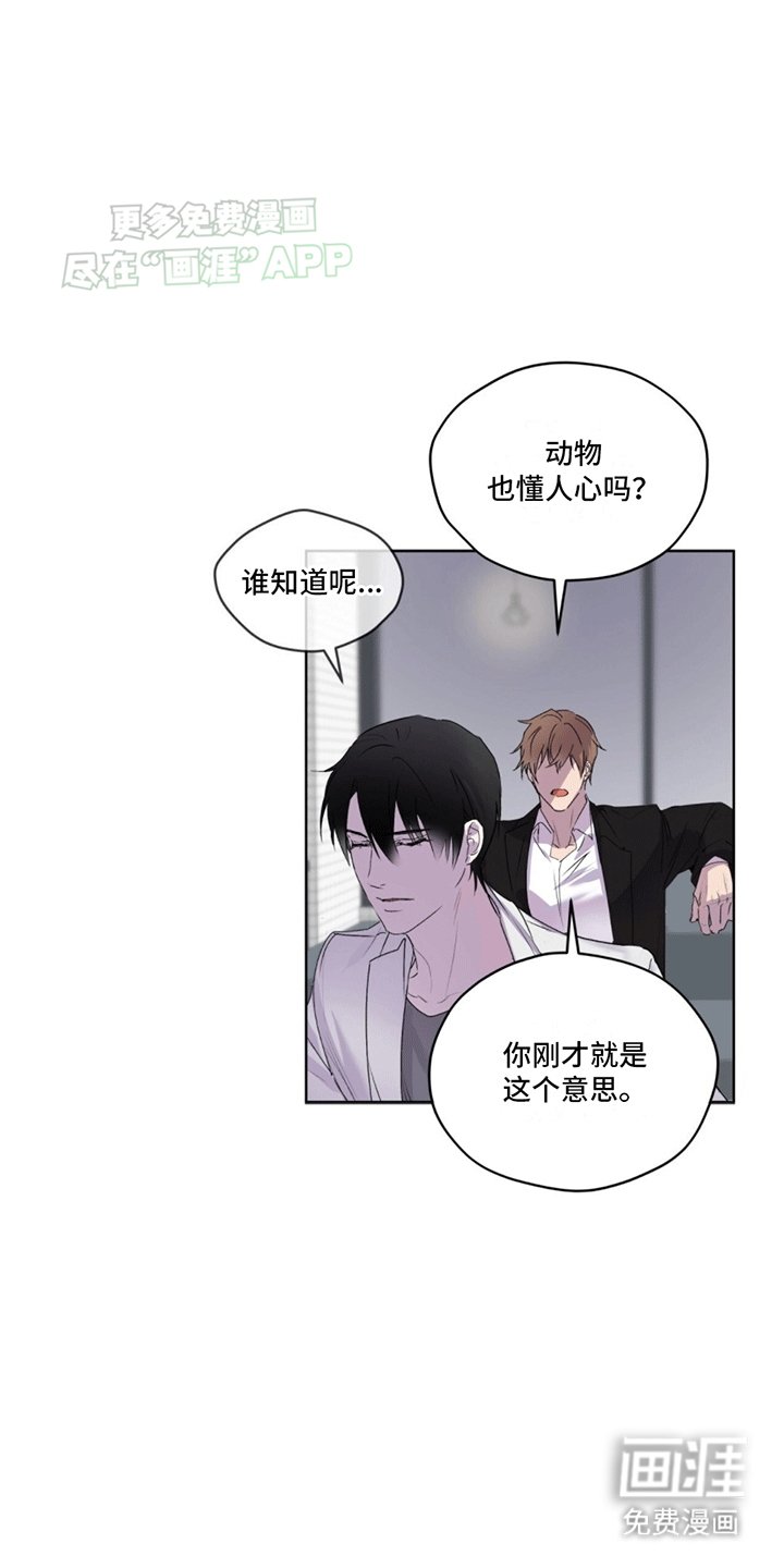 第12章：直觉