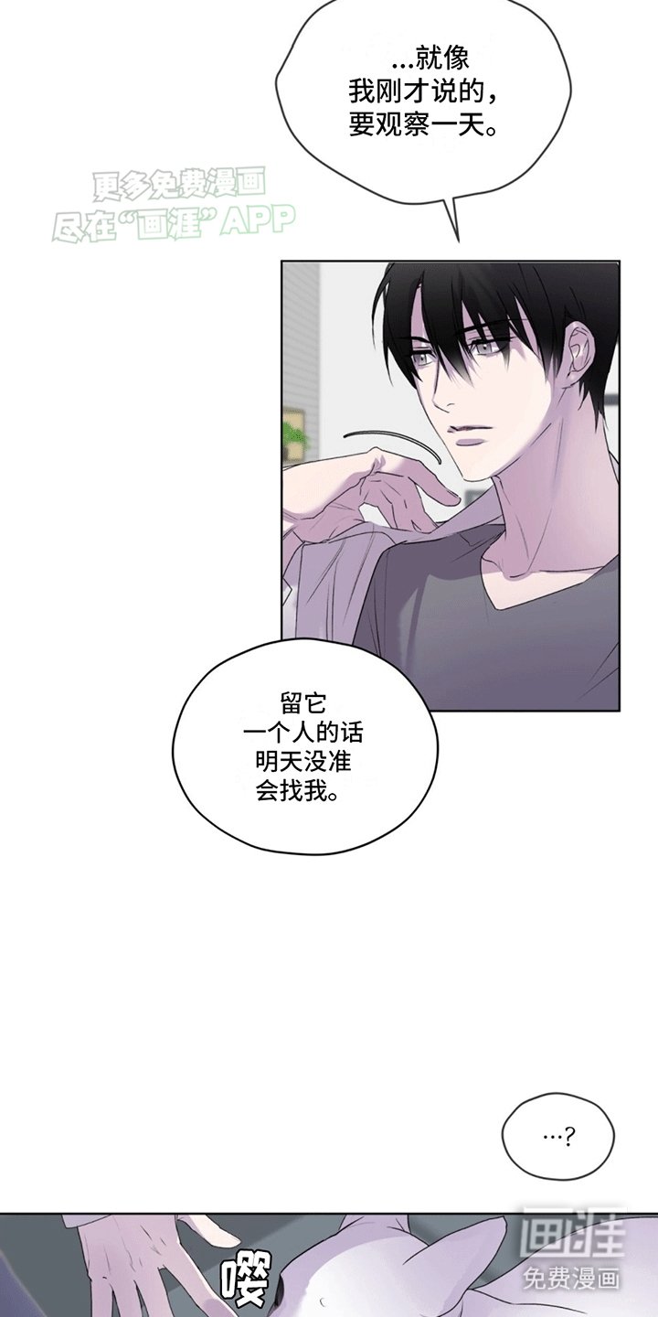 第12章：直觉