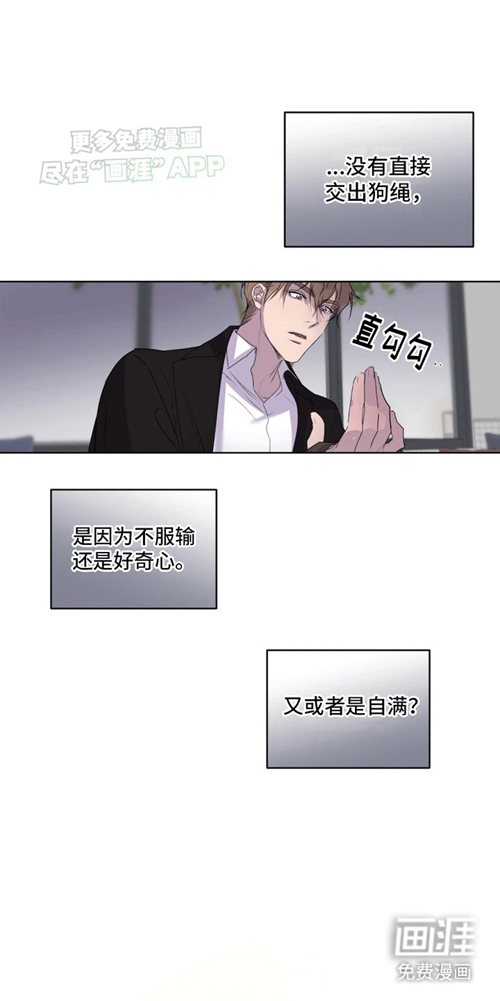 第12章：直觉