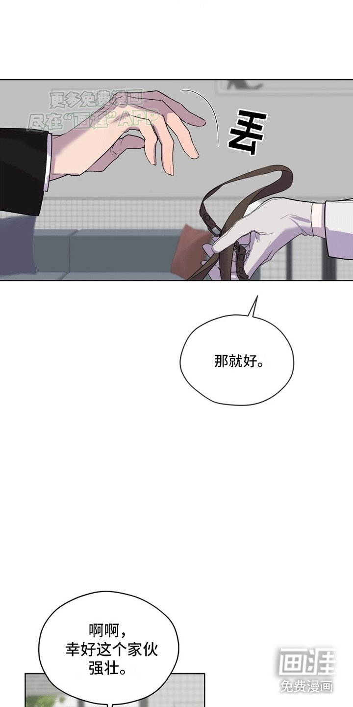 第12章：直觉