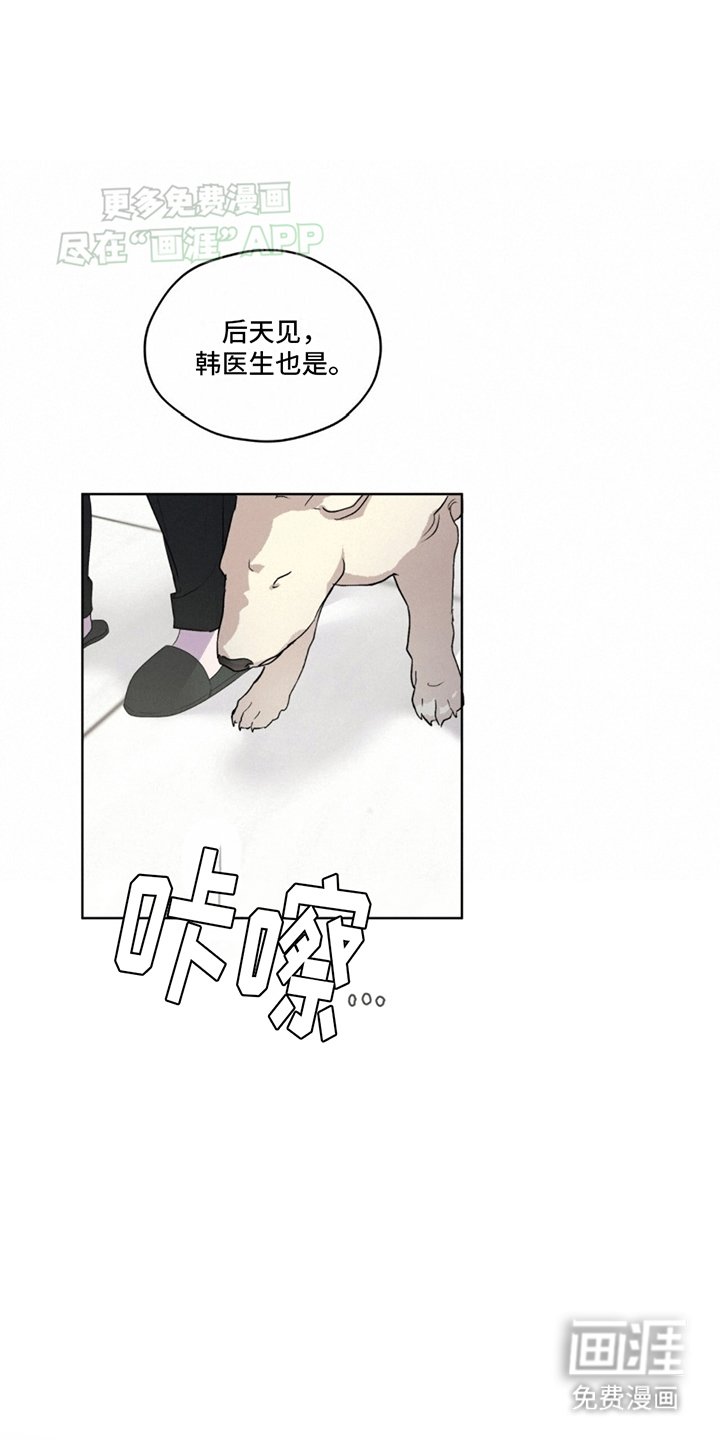 第12章：直觉