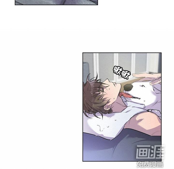 第16章：不要胡思乱想