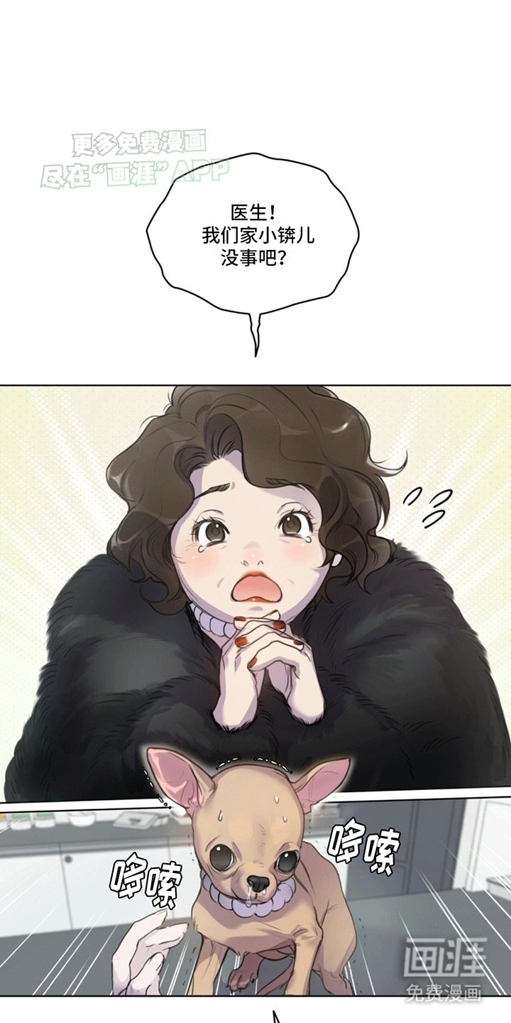 第2章：兽医