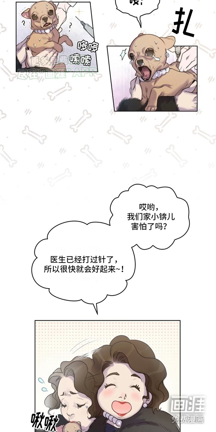 第2章：兽医